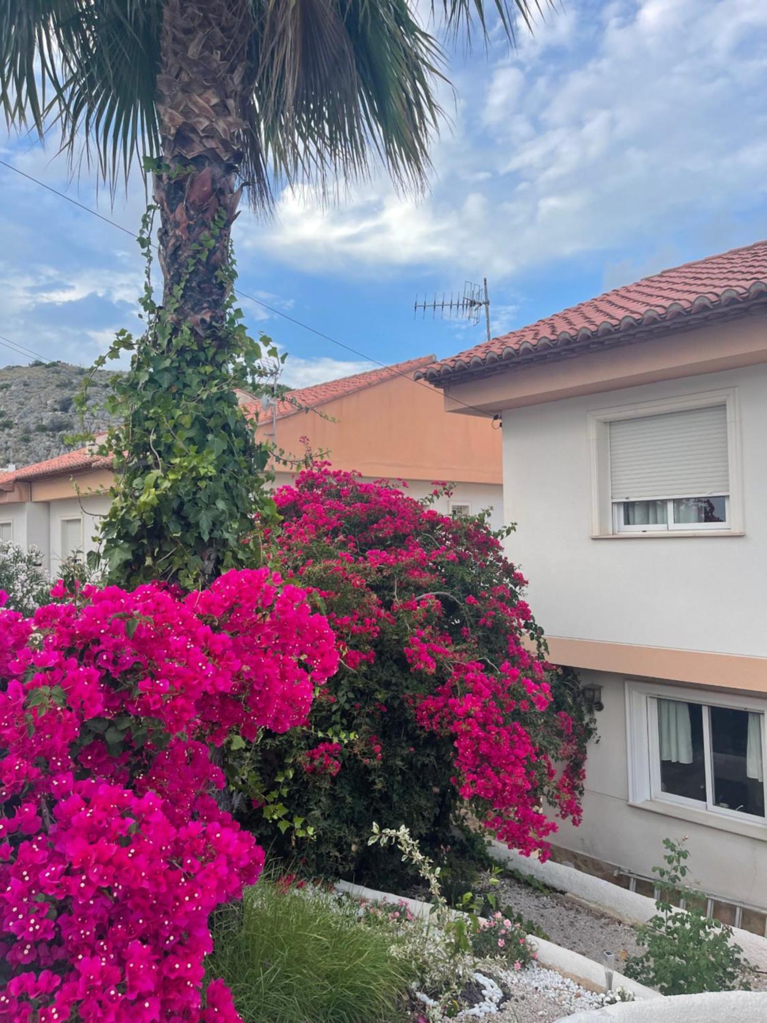 Villa Loft Montepino