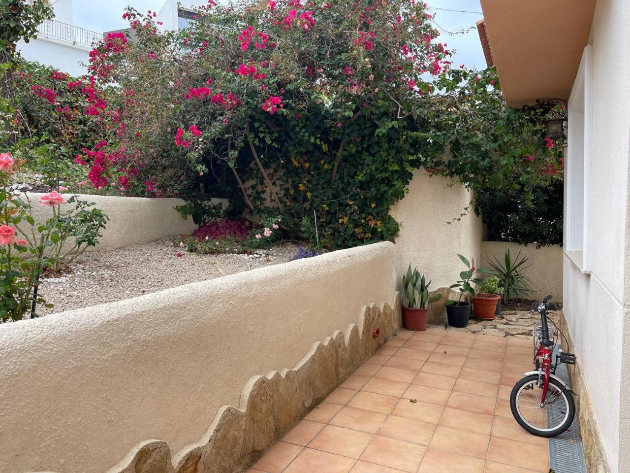 Loft Montepino Gandia